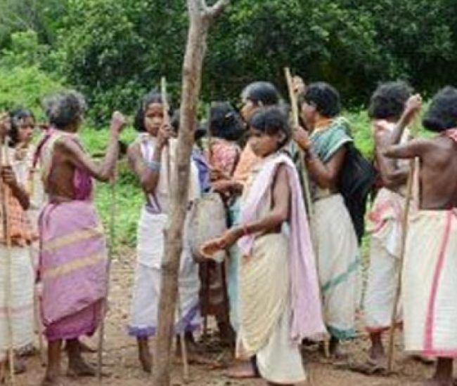 The Indian Tribal
