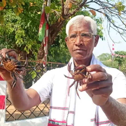 Sarhul Festival | The Indian Tribal