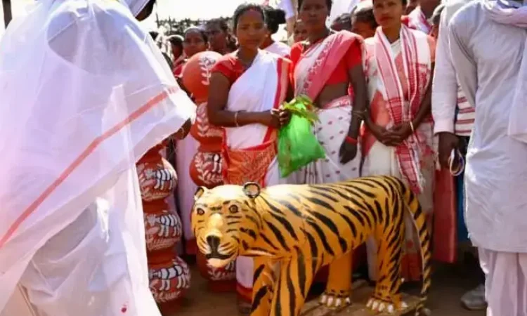 The Indian Tribal